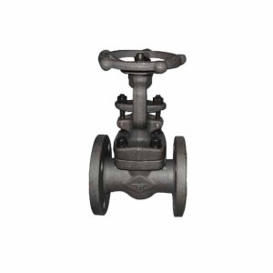 Forged Steel Gate Valve A105 ANSI 150
