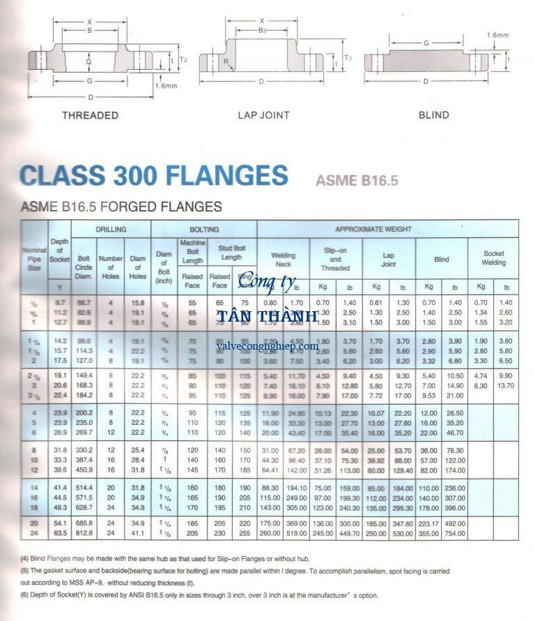 Steel Flange A105 ANSI Class 300