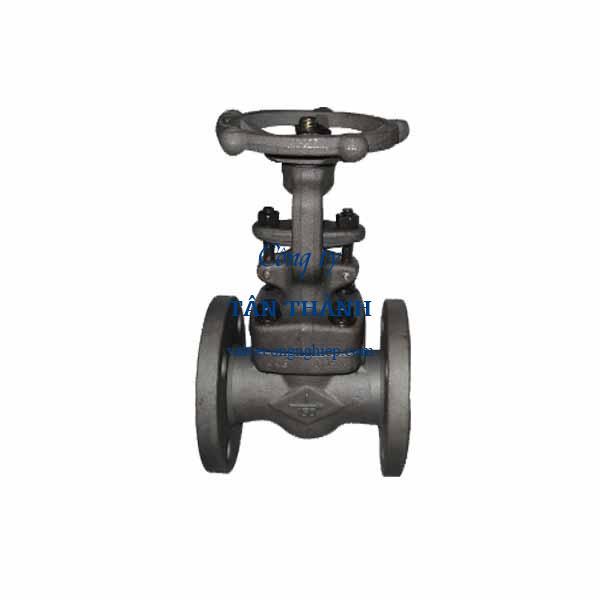 Forged steel gate valve A105 flanged ends ANSI Class 150 Joeun