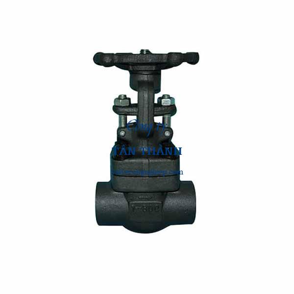 Forged steel A105 globe valve socket weld SW Joeun