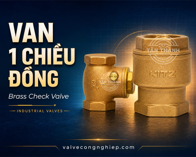Van 1 chiều đồng là gì và bí mật về Bronze Brass Check Valve