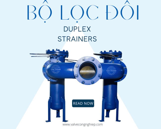 Bộ lọc đôi Duplex Strainers là gì