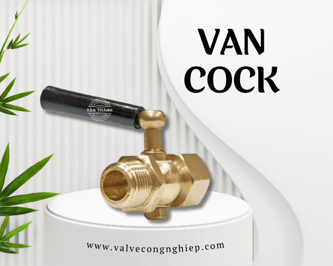 Van cock van cóc cock valve là gì và ứng dụng phổ biến
