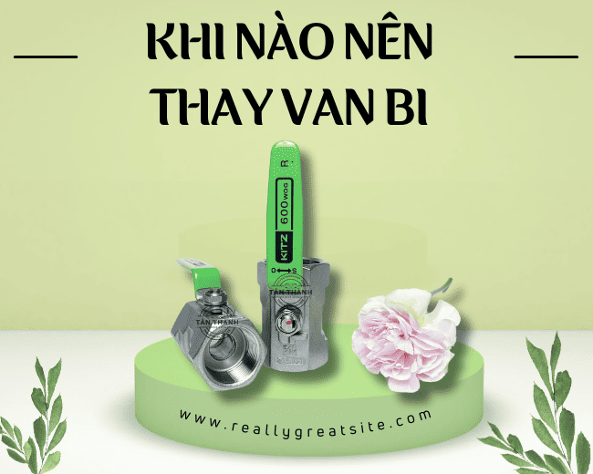 Dấu hiệu cho thấy khi nào nên thay van bi