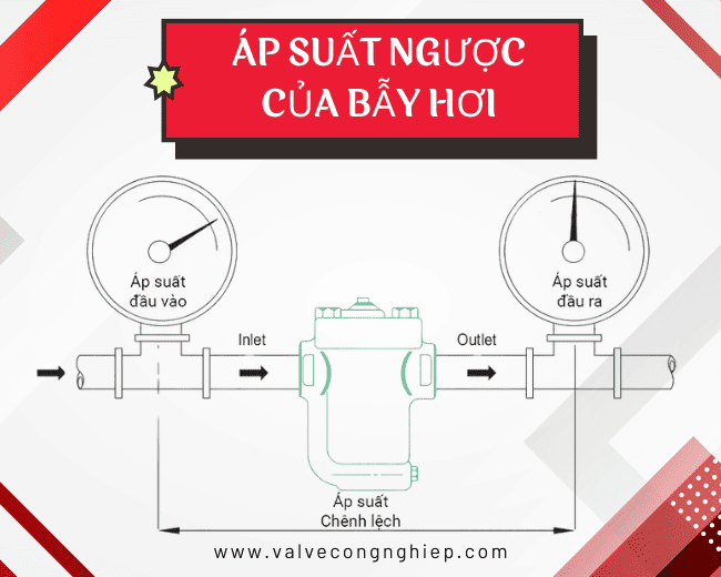 Áp suất ngược của bẫy hơi và cách khắc phục nhanh