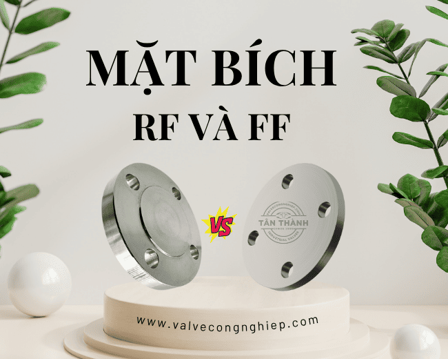 So sánh mặt bích RF và FF
