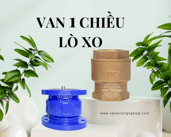 Van 1 chiều lò xo inox đồng giá rẻ tại van Tân Thành