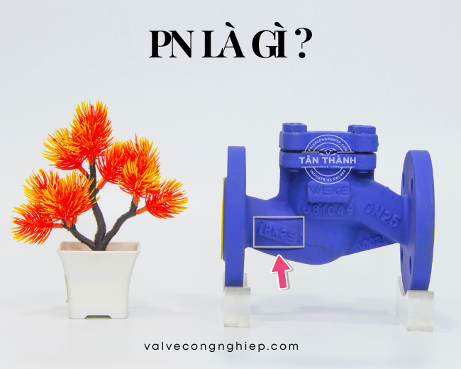 PN là gì và ý nghĩa PN 10, PN 25