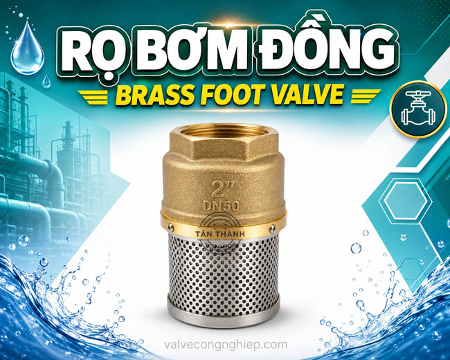 Rọ bơm đồng là gì? Thiết bị nhỏ nhưng quyết định hiệu quả của máy bơm